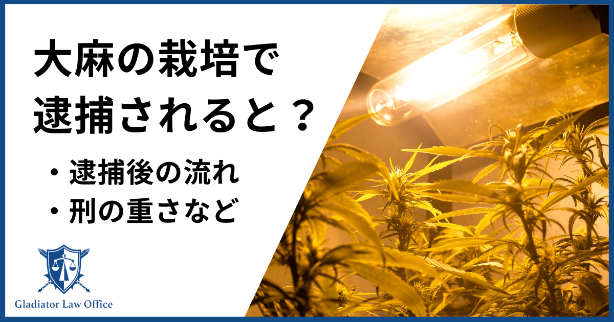 大麻の栽培で逮捕