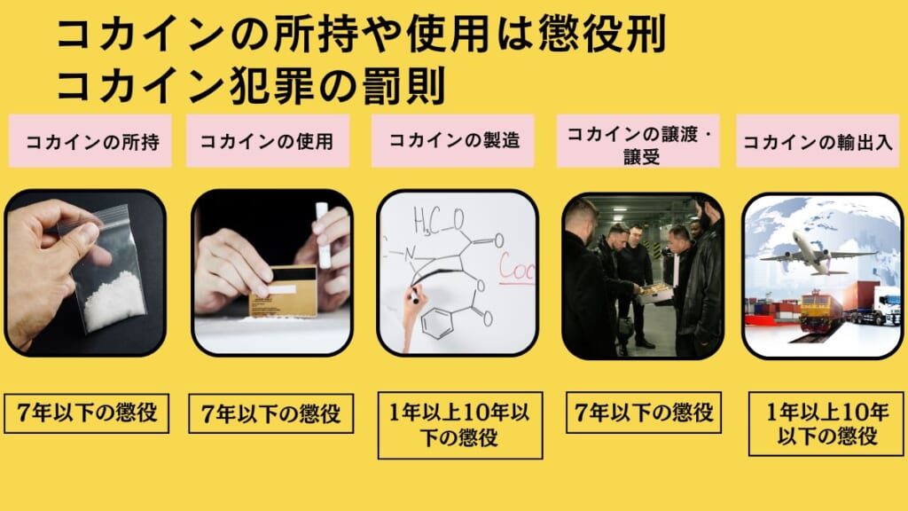 コカインの所持や使用は懲役刑|コカイン犯罪の罰則