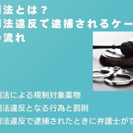 麻薬特例法とは？麻薬特例法違反で逮捕されるケースや逮捕後の流れ