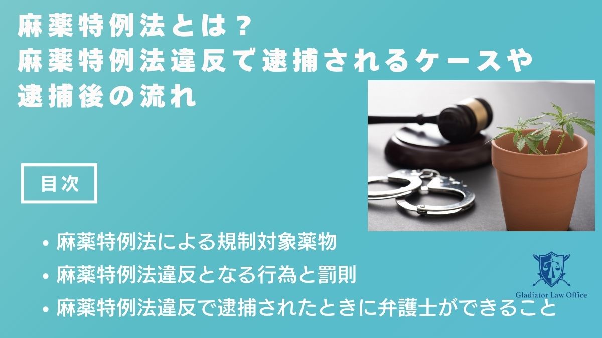 麻薬特例法とは？麻薬特例法違反で逮捕されるケースや逮捕後の流れ