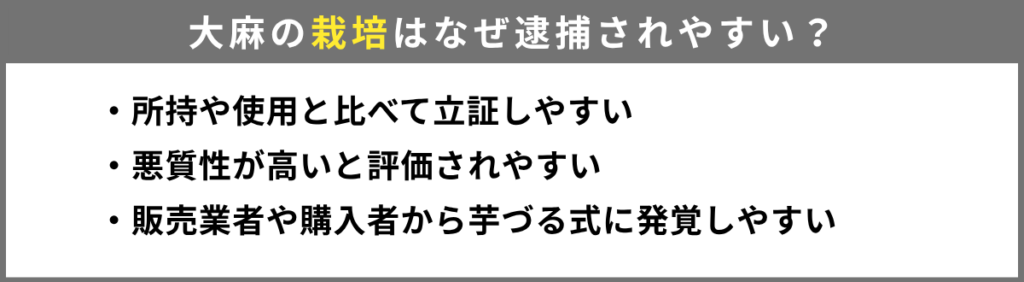 大麻の栽培が逮捕されやすい理由
