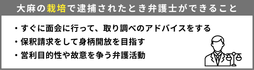 大麻の栽培で逮捕されたとき弁護士ができることは3つ。
・すぐに面会に行って取り調べのアドバイスをする。
・保釈請求をして身柄解放を目指す
・営利目的性や故意を争う弁護活動