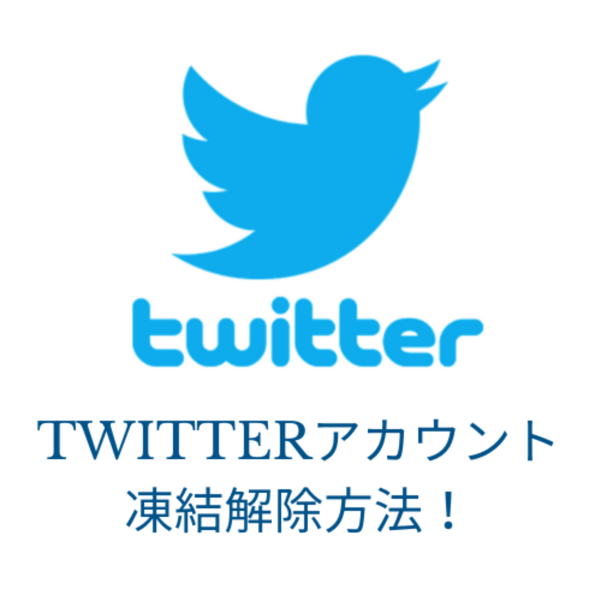 Twitter(X)凍結解除方法！異議申し立ての例文や成功例事例も - 誹謗中傷削除・発信者情報開示の弁護士無料相談