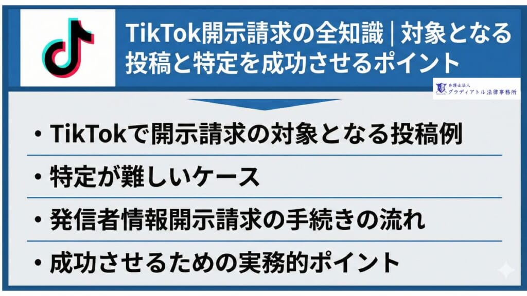 TikTok開示請求の全知識｜対象となる投稿と特定を成功させるポイント