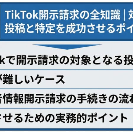 TikTok開示請求の全知識｜対象となる投稿と特定を成功させるポイント
