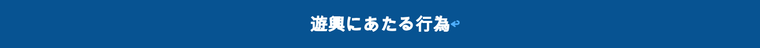 遊興にあたる行為