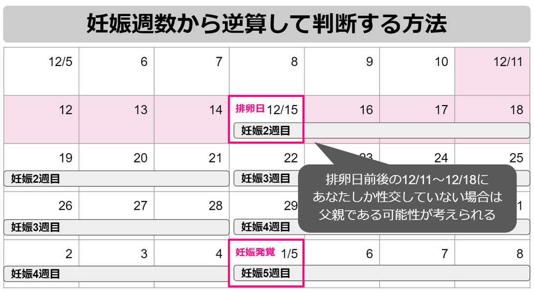 妊娠週数から排卵日を逆算んして父子関係を考える方法